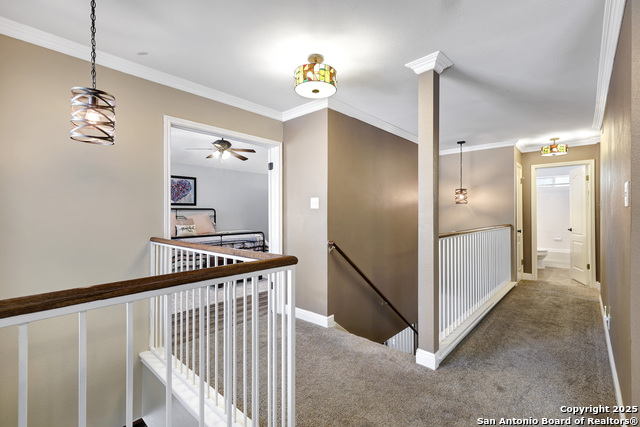11602 Shotgun Way Property Photo 12