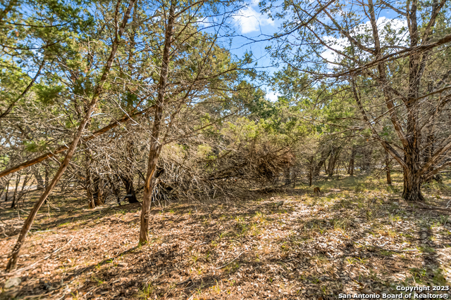 21801 O'neill Ave Property Photo 11