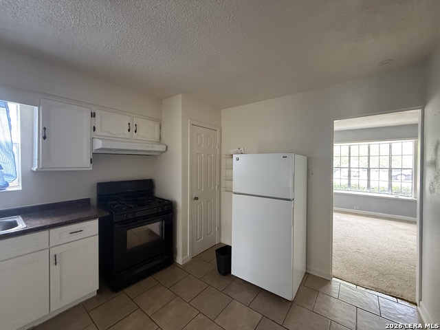 1304 Vanderbilt St Property Photo 22