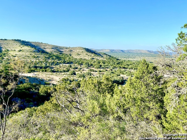 22819 State Highway 55 Property Photo 3