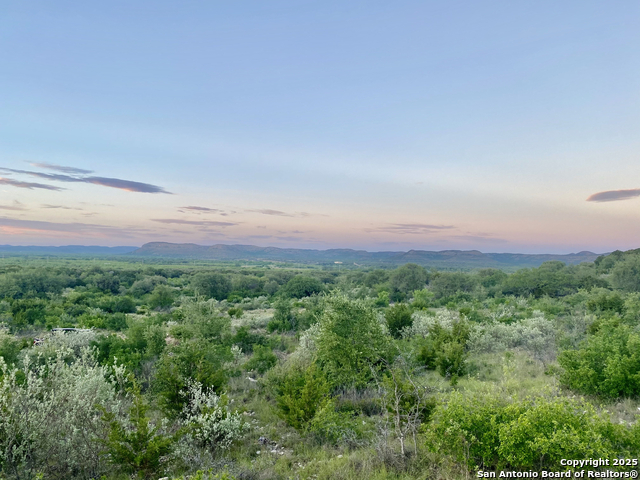 22819 State Highway 55 Property Photo 7
