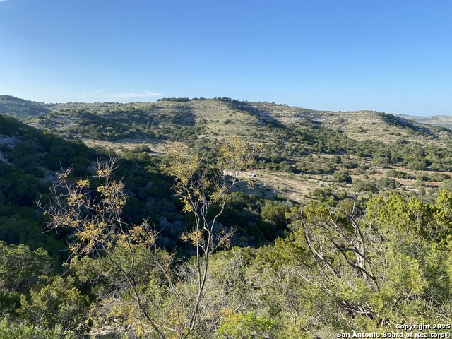 22819 State Highway 55 Property Photo 8