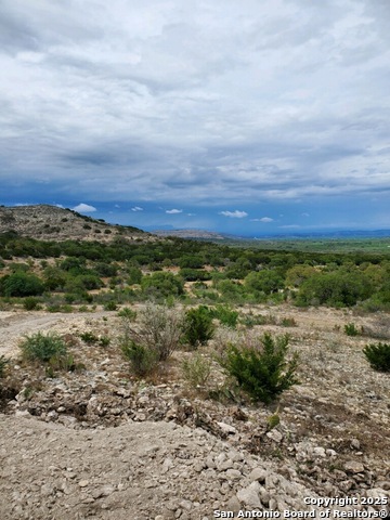 22819 State Highway 55 Property Photo 15