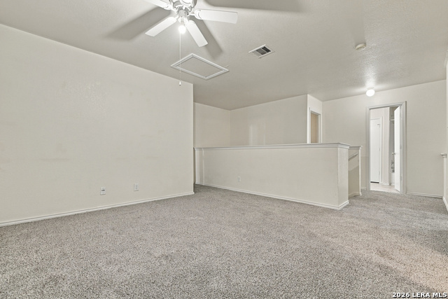 8119 Thicket Pass Property Photo 22