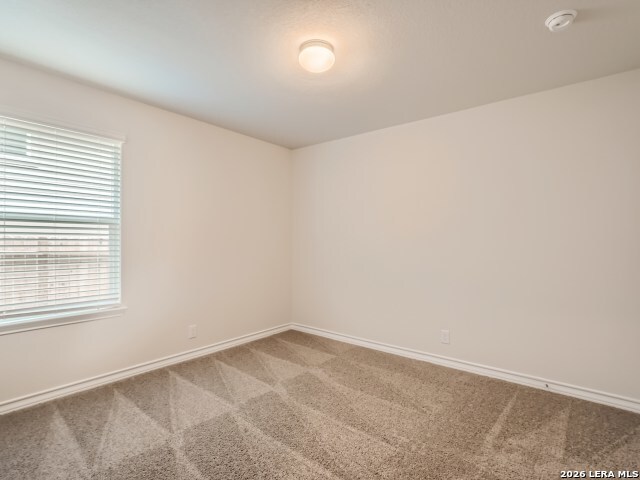 12015 Emerald Shore Property Photo 21