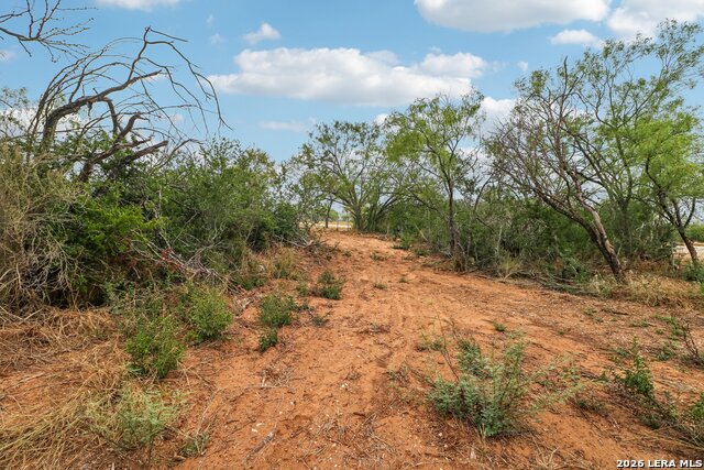 172 County Road 2667 Property Photo 21