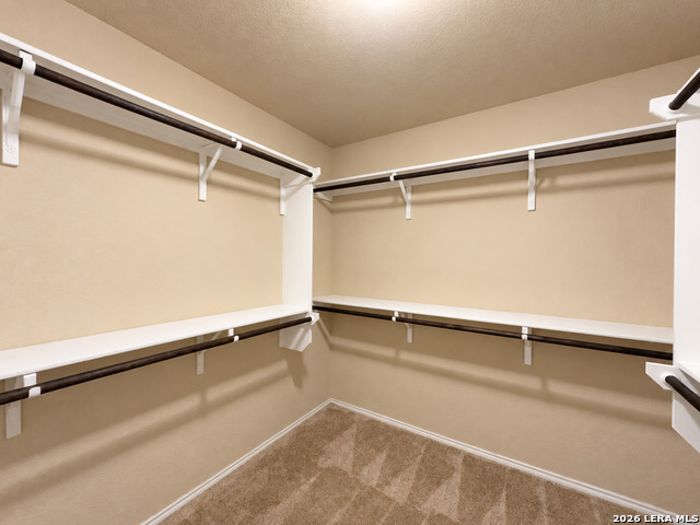 12207 Bening Vly Property Photo 19