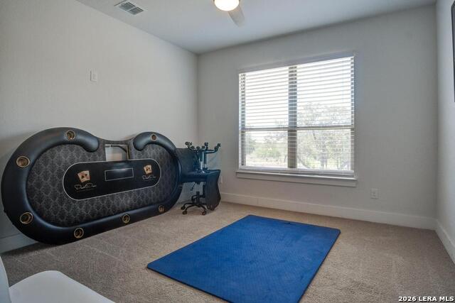 711 Stone Loop Property Photo 51