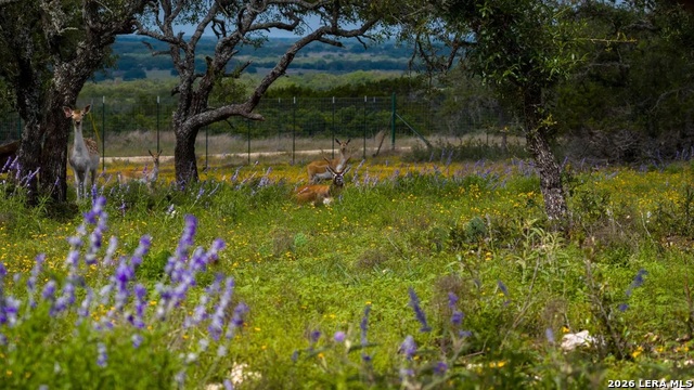 Tbd El Rincon Property Photo 1