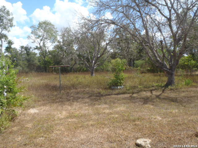 921 Pecan St Property Photo 8