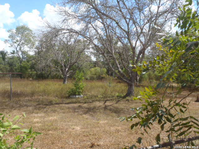 921 Pecan St Property Photo 10
