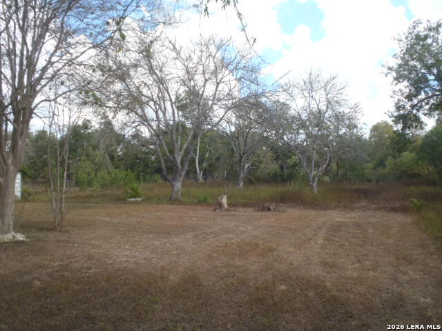 921 Pecan St Property Photo 13