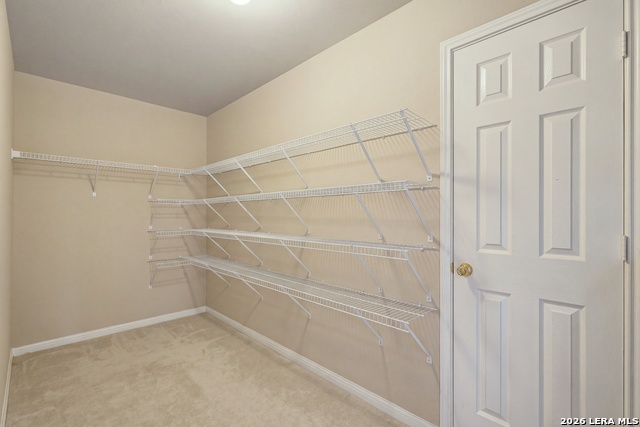 803 Mesa Loop Property Photo 6