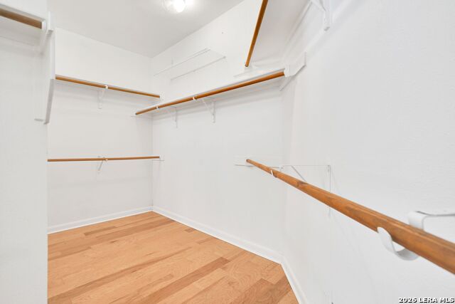 9627 Jason Bnd Property Photo 19