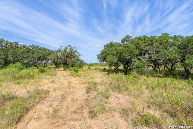 1400 Utopia Forrest Property Photo 1