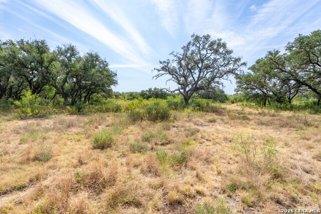 1400 Utopia Forrest Property Photo 2