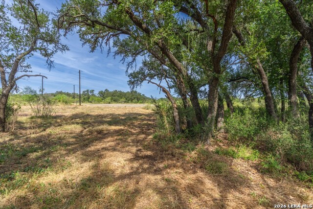 1400 Utopia Forrest Property Photo 4
