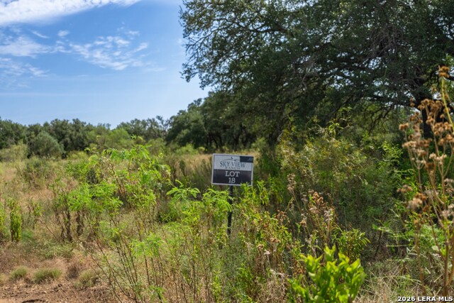 1400 Utopia Forrest Property Photo 5