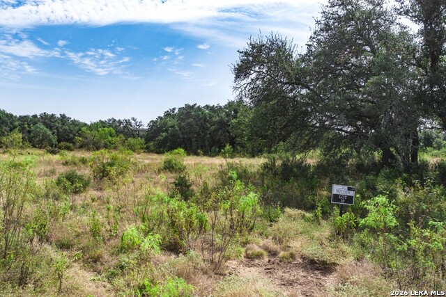 1400 Utopia Forrest Property Photo 6