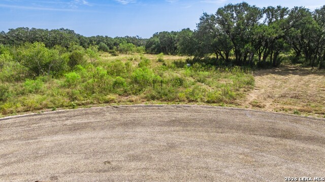 1400 Utopia Forrest Property Photo 7