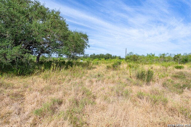 1400 Utopia Forrest Property Photo 8
