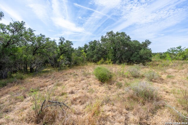 1400 Utopia Forrest Property Photo 9