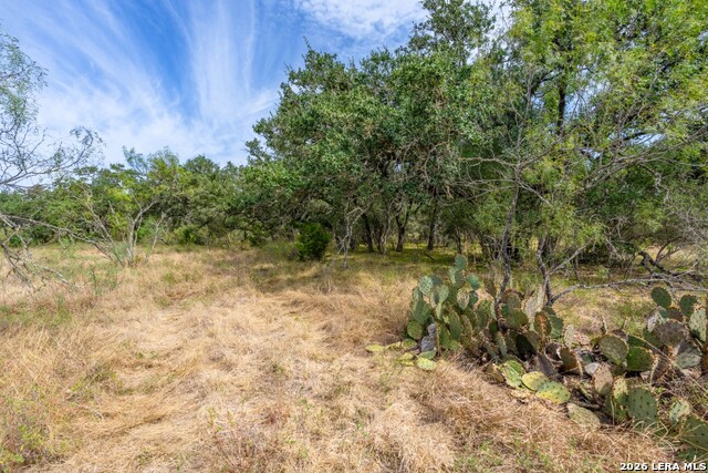 1400 Utopia Forrest Property Photo 10