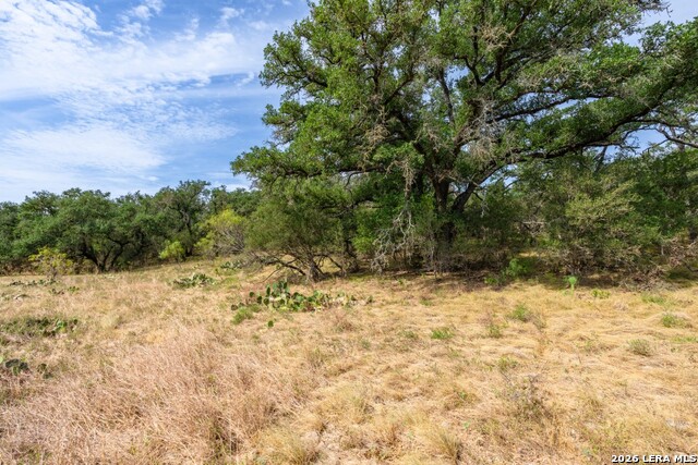 1400 Utopia Forrest Property Photo 11