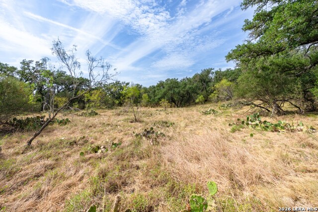 1400 Utopia Forrest Property Photo 12