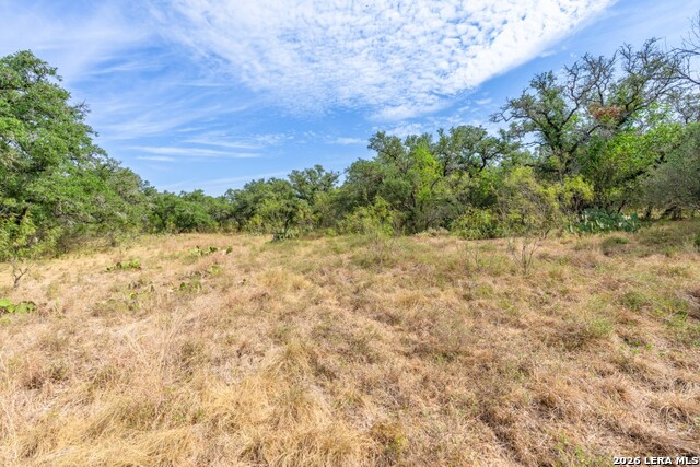 1400 Utopia Forrest Property Photo 13