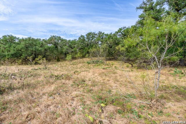 1400 Utopia Forrest Property Photo 14