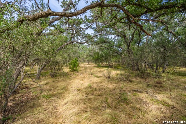 1400 Utopia Forrest Property Photo 15