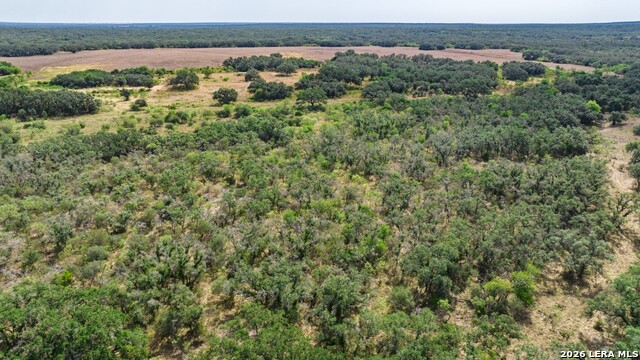 1400 Utopia Forrest Property Photo 16