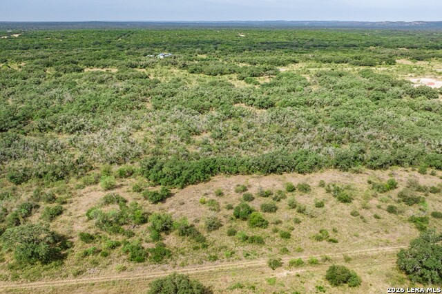 1400 Utopia Forrest Property Photo 17