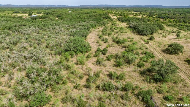1400 Utopia Forrest Property Photo 18