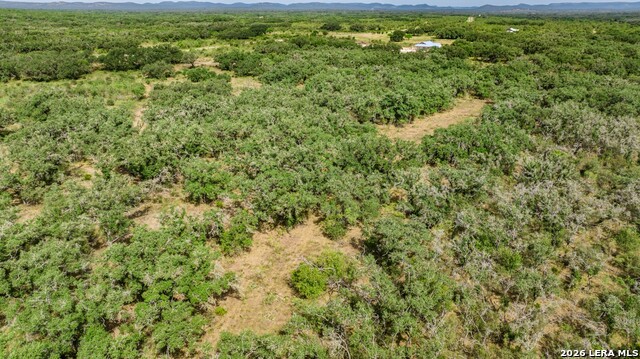 1400 Utopia Forrest Property Photo 19