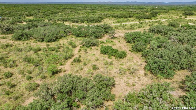 1400 Utopia Forrest Property Photo 20