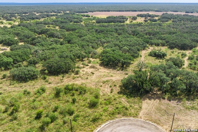 1400 Utopia Forrest Property Photo 21