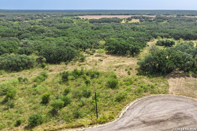 1400 Utopia Forrest Property Photo 22