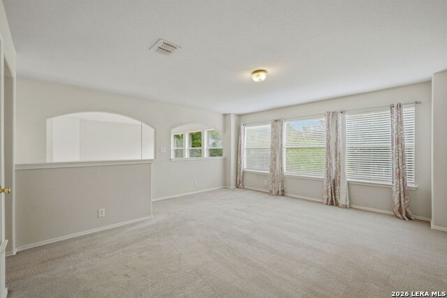6010 Wood Pass Property Photo 19