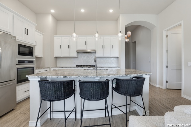 10131 Mitra Way Property Photo 17
