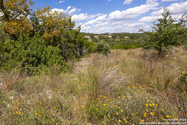 11313 Sloanes Ridge Property Photo 8