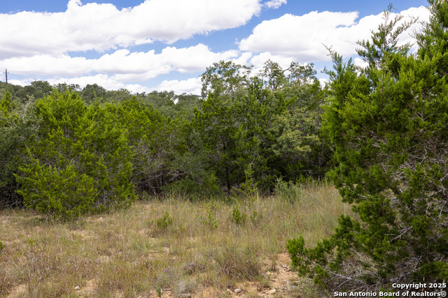11313 Sloanes Ridge Property Photo 9