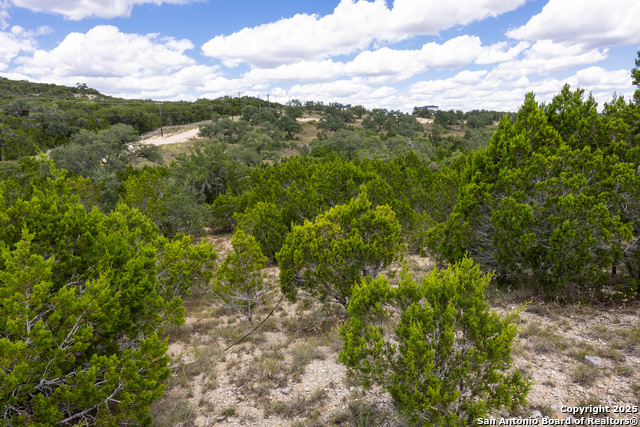 11313 Sloanes Ridge Property Photo 10