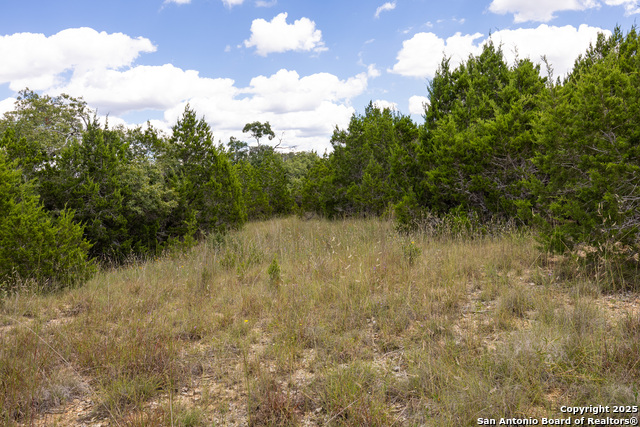 11313 Sloanes Ridge Property Photo 11
