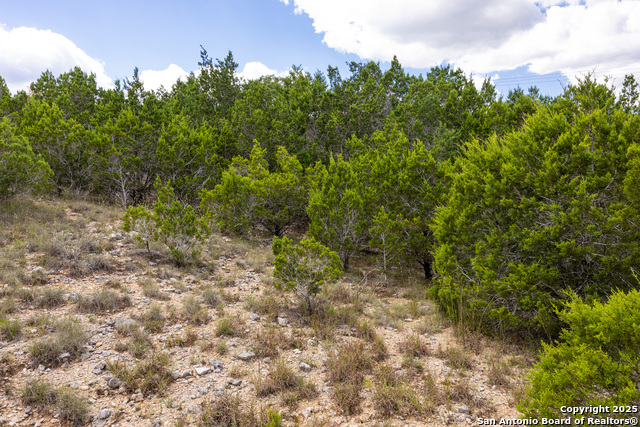 11313 Sloanes Ridge Property Photo 12