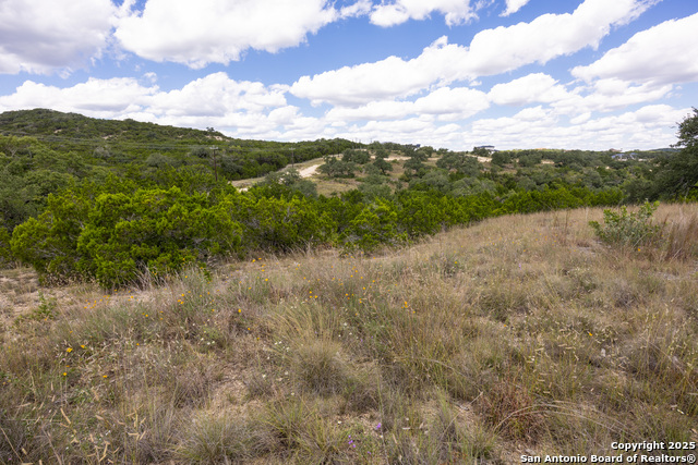 11313 Sloanes Ridge Property Photo 13