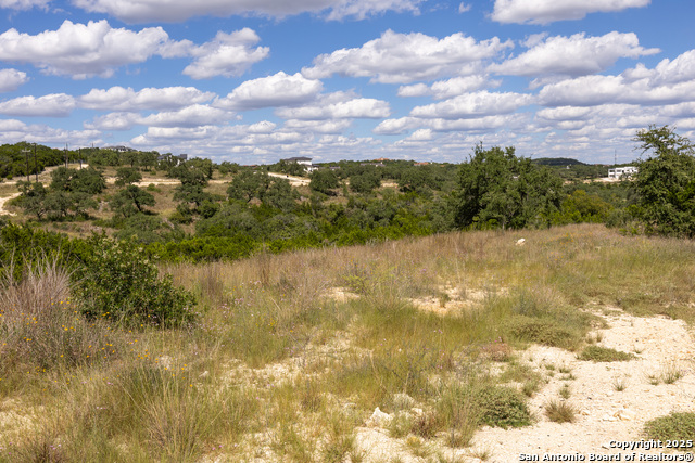11313 Sloanes Ridge Property Photo 14