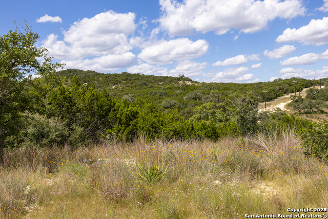 11313 Sloanes Ridge Property Photo 15