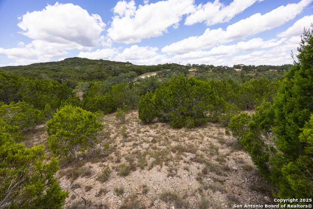 11313 Sloanes Ridge Property Photo 16